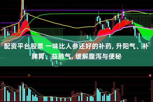 配资平台股票 一味比人参还好的补药, 升阳气、补脾胃、益肺气, 缓解腹泻与便秘