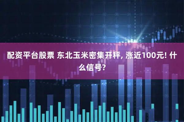 配资平台股票 东北玉米密集开秤, 涨近100元! 什么信号?