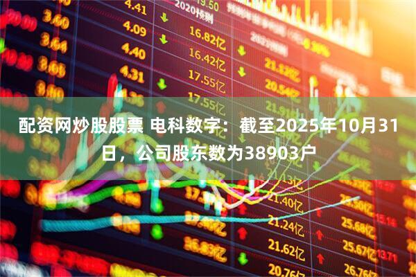 配资网炒股股票 电科数字：截至2025年10月31日，公司股东数为38903户